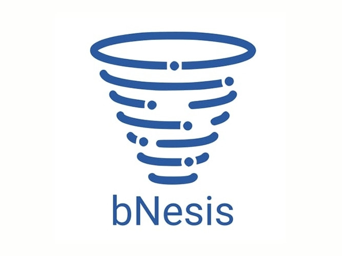 Украинский стартап bNesis в сфере fintech привлек 400 тыс. евро