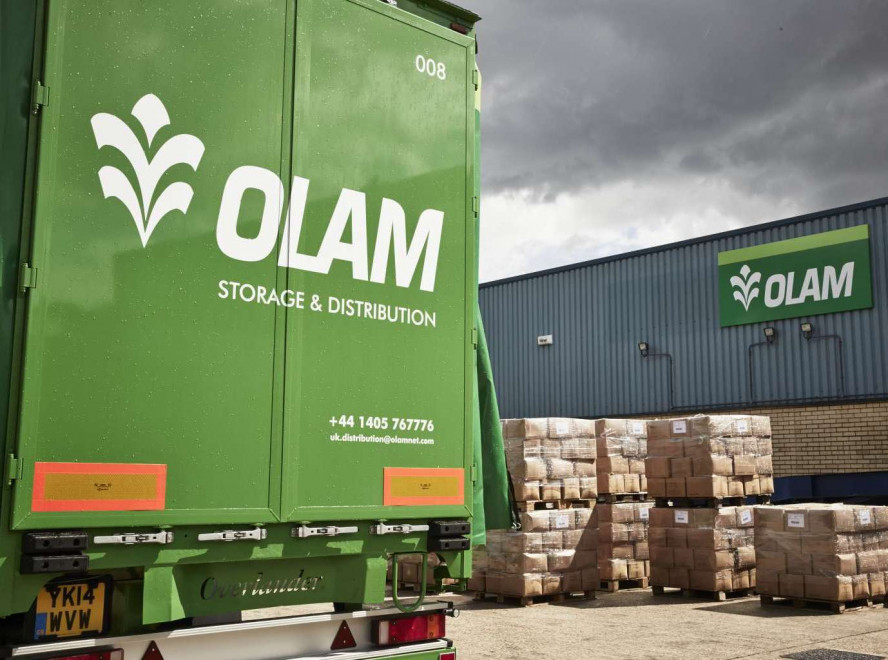 Сингапурская аграрная корпорация Olam инвестирует в строительство зернового терминала в Украине