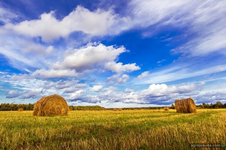 Волынь-Зерно-Продукт покупает агропредприятие в Тернопольской области