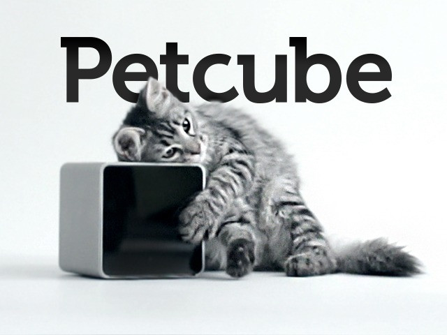 Petcube startup raised $1.1 million from venture funds Almaz Capital and AVentures Capital
