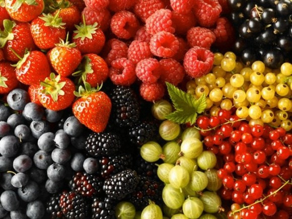 Производитель ягод инвестирует 30 млн. грн. в строительство ягодного питомника