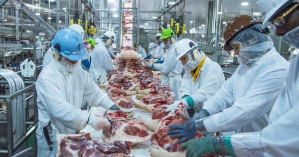 One Of The Largest Meat Processing Factories In Ukraine For Sale Or Co