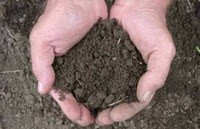 Из-за тенизации рынка земли Украина недополучает 7 млрд грн. инвестиций в год