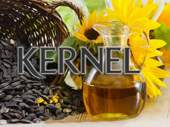 Компания менеджера "Кернела" приобрела акции группы на $1,6 млн