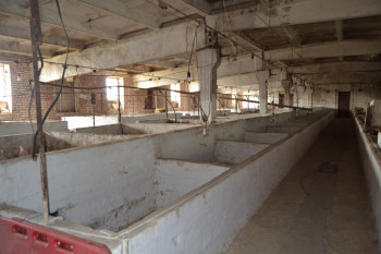 Cвиноферма 12 га в Днепровской области