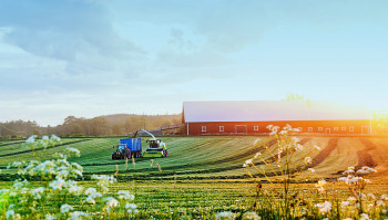 Фермерское хозяйство в Херсонской области