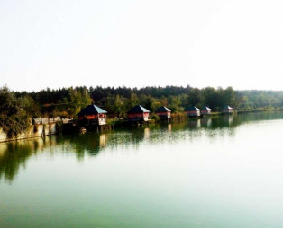 Рыболовная база отдыха в пригороде Киева