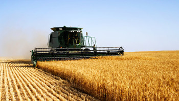 Фермерское хозяйство в Киевской области