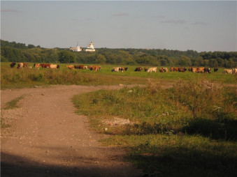 Сумщина привлекла 704,6 млн. грн. инвестиций в аграрный сектор