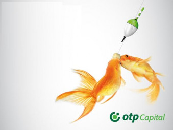 Пенсионный фонд "УкрсоцФонд" станет собственностью "ОТП Капитал"