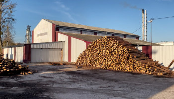 Operating Woodworking Enterprise with Export Production for Sale in Volyn Region