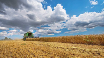 Agricultural enterprise with a 2,100-hectare land bank put up for sale in Vinnytsia region