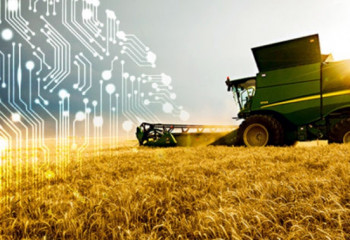 Искусственный интеллект в сельском хозяйстве