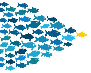 Key Trends in Ukrainian M&A