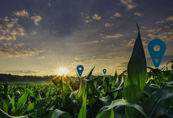 Как цифровые технологии меняют наше повседневное меню?