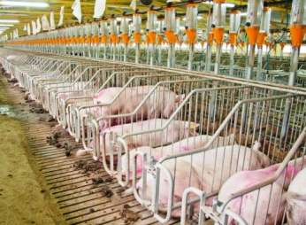 «Нива Переяславщины» привлекла $12,5 млн. от ЕБРР