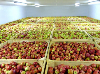 Днепровский бизнесмен строит крупнейший холодильный комплекс в Украине