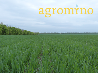 Председатель совета директоров Agromino увеличил свою долю в ней до 56,6%