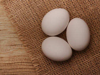 Овостар Юнион инвестирует $15-17 млн. в свое производство 