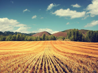 New Agricultural Land Reform in Ukraine 2020/2021