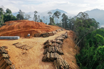 The war in Ukraine may cause a land rush that will hurt poorer countries