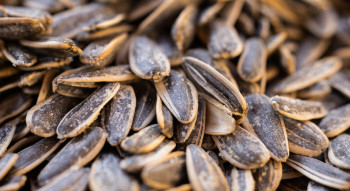 Анализ рынка семечек подсолнечника и фисташек в Украине