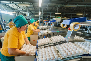 Ukrainian agricultural holding Ovostar announce delisting from the Warsaw Stock Exchange