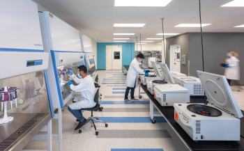 Американская биотех-компания BillionToOne выросла до $4,4 млрд после успешного IPO на Nasdaq