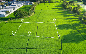 НБУ выставляет на торги 129 участков в Киевской области для строительства и фермерства