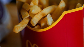 Mais Invests in Ukraine’s First French Fries Plant — Launch Planned in Two Years