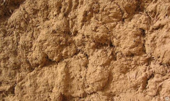 В Ровенской области участок суглинков площадью 181 га продали за 1,64 млн грн