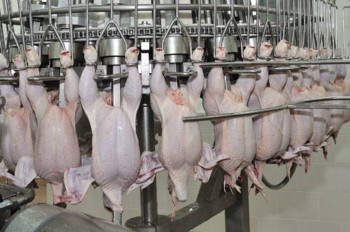 MHP to Acquire Agrol Processing Facilities for at Least $5 Million