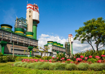 Одесский припортовый завод снова выставят на приватизацию: растет интерес иностранных инвесторов