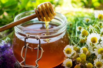 Grain Alliance plans to acquire major Ukrainian honey exporters to the EU