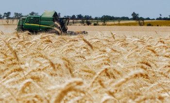 АМКУ одобрил Астарте приобретение двух агрокомпаний на Полтавщине