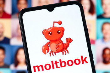 Meta купує експериментальну соцмережу Moltbook для ШІ-ботів
