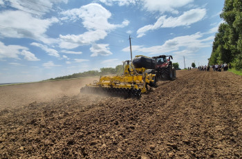 Агрохолдинг Kernel покупает Enselco у Андрея Веревского за $348 млн