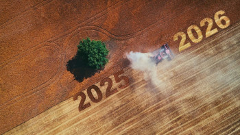 Инвестиции в агросектор Украины в 2025–2026 годах: ставка на земельный банк, консолидацию и вертикальную интеграцию