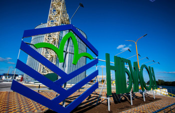 Инвестиции «Нибулона» в агросектор и логистику Украины превысили $80 млн