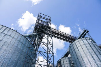 0 сделок в 2025 году: почему провалилась приватизация зерновых объектов в Украине