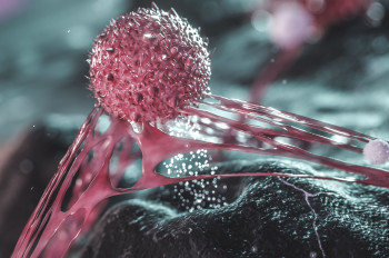 Американская Johnson & Johnson покупает Firefly Bio за $1 млрд для разработки новых противораковых препаратов