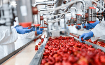 Government Expands Access to Grants for Processing Industry: Businesses Eligible for Up to UAH 16 Million