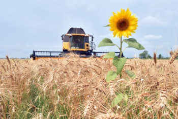 Капитальные инвестиции в агросектор выросли на 7% 