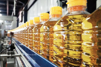 Ханзе Агри Украина построит на Львовщине маслопрессовый завод на 300 т/сутки и элеваторный комплекс 