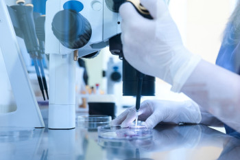 Ferring придбає biotech-компанію Gameto за $1,38 млрд: 20-й єдиноріг українського фонду TA Ventures
