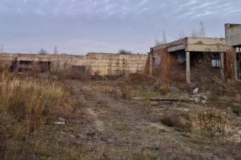 Цена рухнула более чем вдвое: активы обанкротившегося Сарненского сырзавода продали за 3,34 млн грн