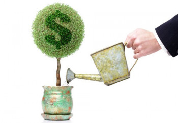 Как стартапу выжить без венчурного капитала