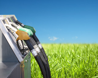 Рынок твердого биотоплива Украины