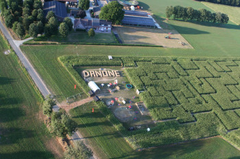 Семейные фермы и молочные кооперативы получат инвестиции от Danone