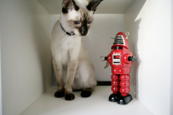 Инвесторы вкладывают в «облака», мобильные разработки и робототехнику